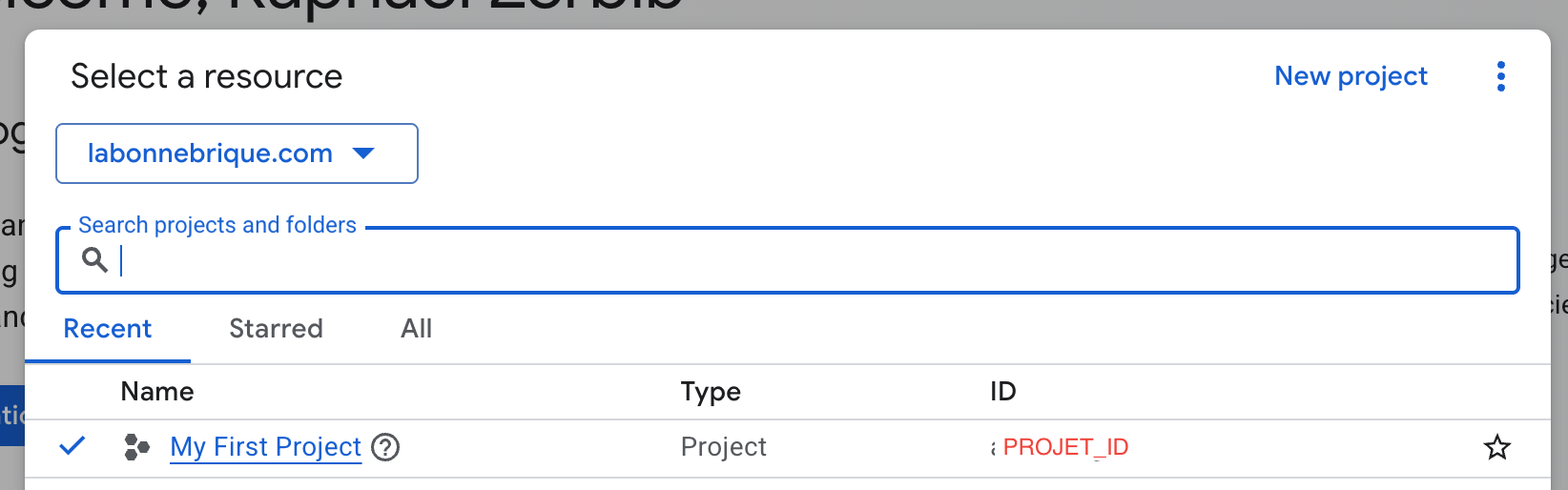 Vue détaillée du Project ID